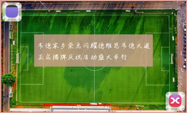 韦德家乡荣光闪耀德维恩韦德大道正式揭牌庆祝活动盛大举行